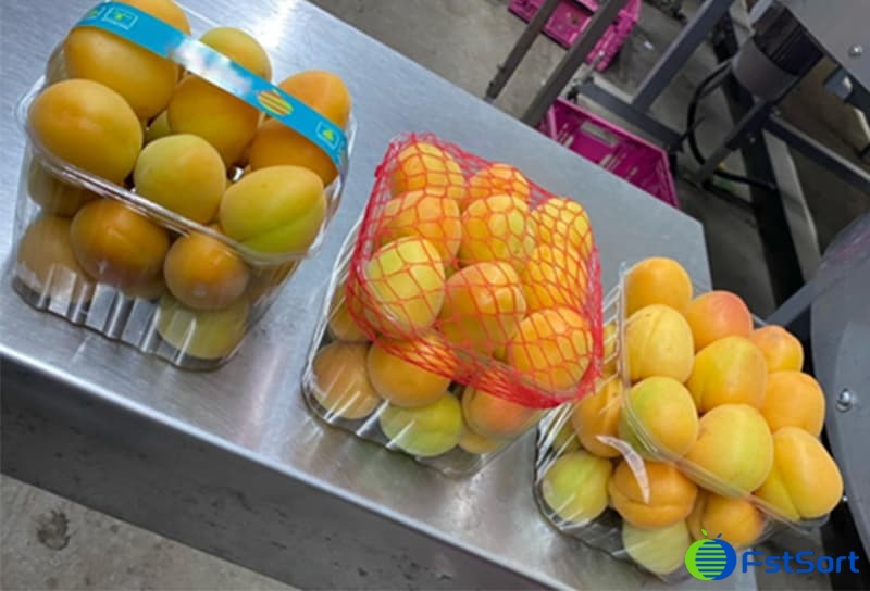 images/1706168697324Apricot packing machine.jpg